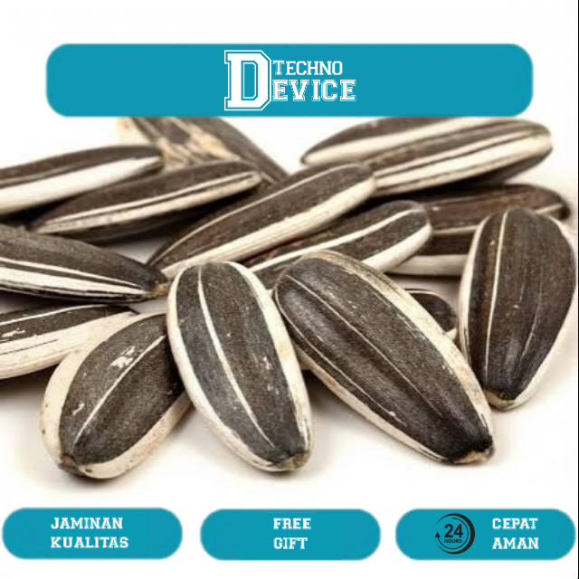 

Kuaci Biji Bunga Matahari 500GRAM - Sunflower Seed - kwaci matang - kuaci Rasa Original