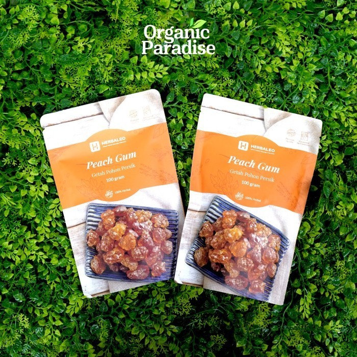 

Herbaleo Peach Gum Getah Pohon Persik 100 gram