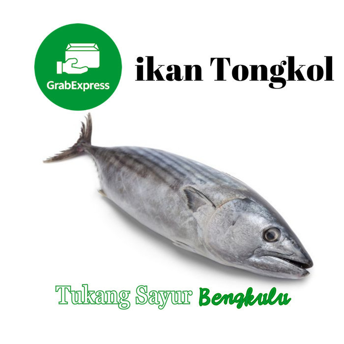 

ikan tongkol 500gram Grab instan Tukang Sayur Bengkulu