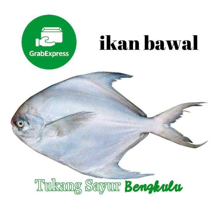 

ikan bawal laut 500gram Grab instan Tukang Sayur Bengkulu