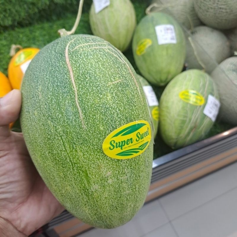 100 Benih Bibit Biji Melon SWEET RED MIDORI, OVAL, Premium import Hibrida Seeds, Super Manis SNP GAR