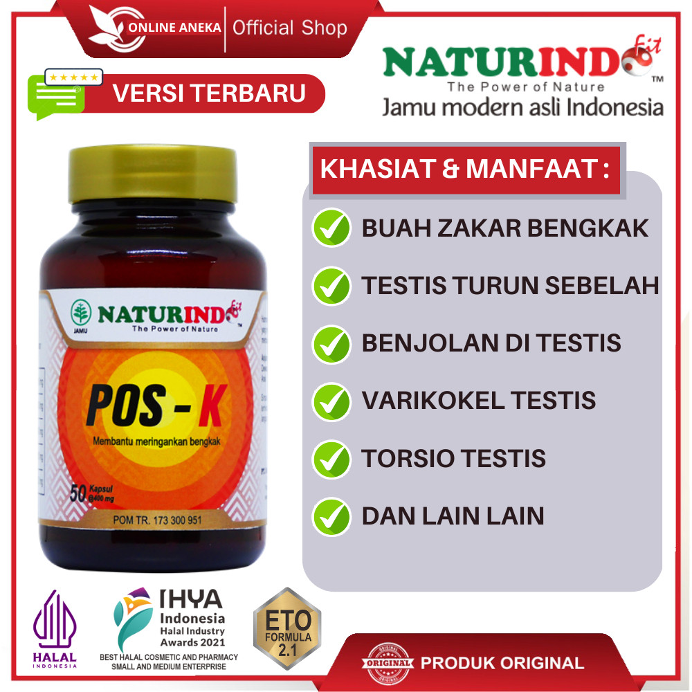 Obat Buah Zakar Bengkak Besar Sebelah Kanan Telur Kemaluan Besar Sebelah Kiri Testis Sakit Nyeri Hid