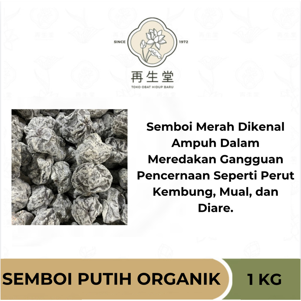 

SEMBOI BIJI PUTIH 1 KG | ASINAN SEMBOI PUTIH