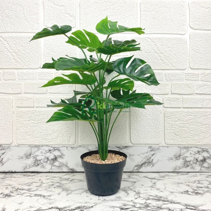 Pohon Daun Monstera Tapak Gajah X18 Semi Latex Artificial Pot Dasar
