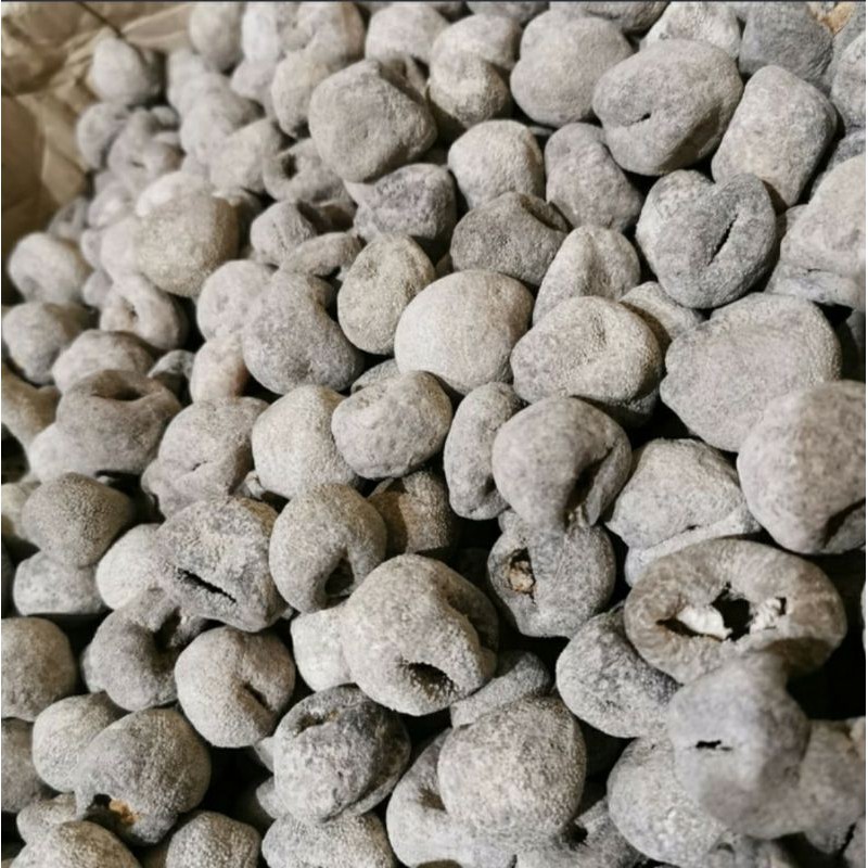 1kg Haisom bola haisen hisom sea cucumber teripang tripang super