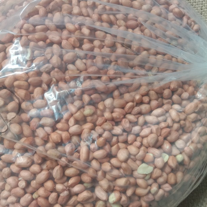 

Best Seller kacang tanah super - 1 kg