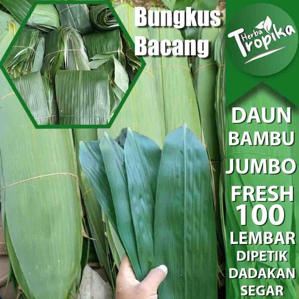 

Daun Bambu Jumbo Segar bungkus bacang 100 lembar toko herba tropika