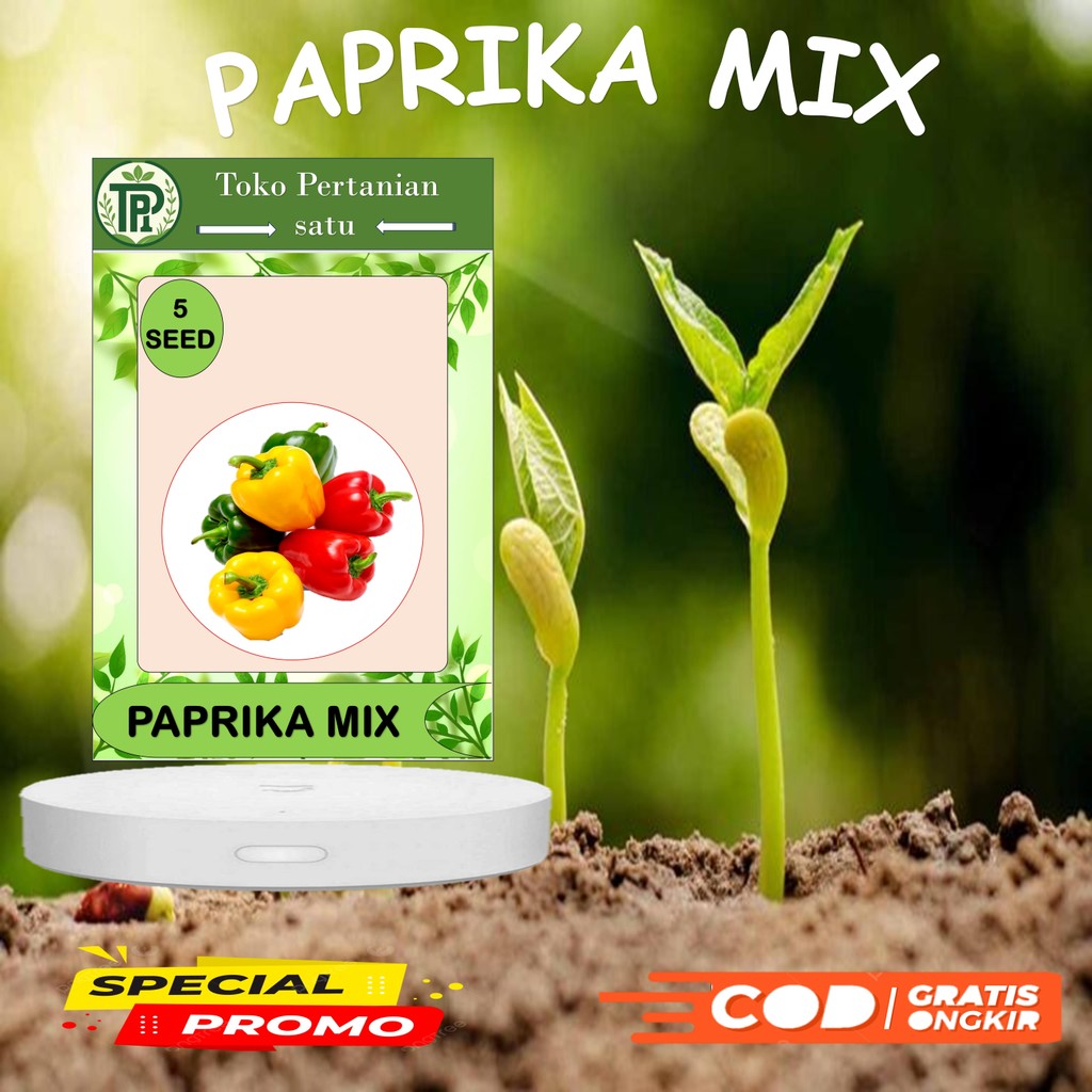 TP- Benih 5 Biji Paprika F1 Mix Colour Warna Buah Campur Dataran Rendah-toko pertanian1