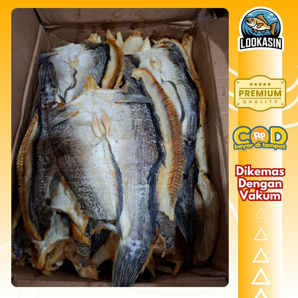 

Gabus Asin Kering 500gr – Ikan Premium Gurih | Tahan Lama, Cocok Lauk & Usaha