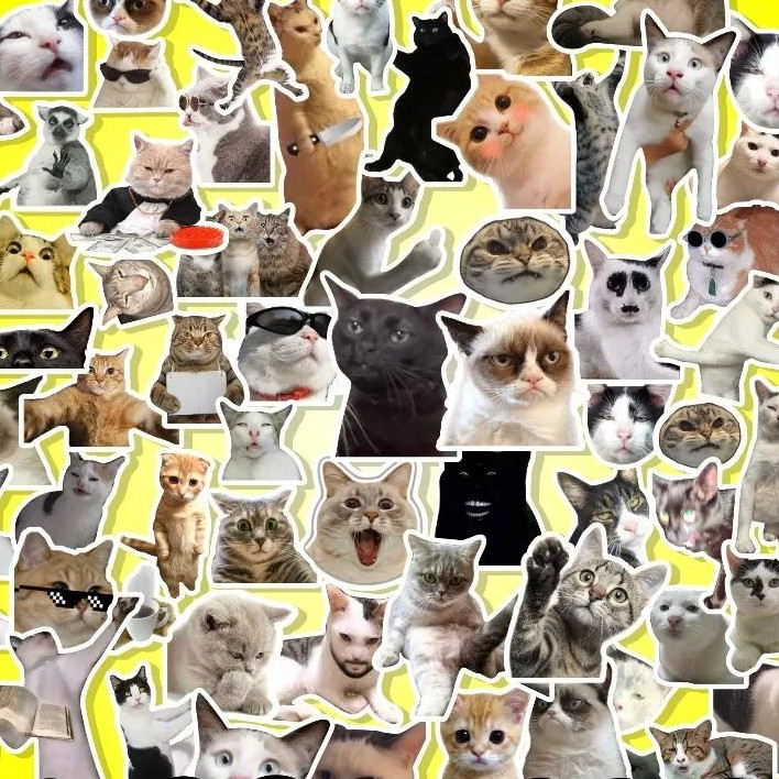 

( Wrsr27 ) STICKER KUCING MEME / STIKER LUCU AESTHETIC / STIKER KUCING STICKER PACK