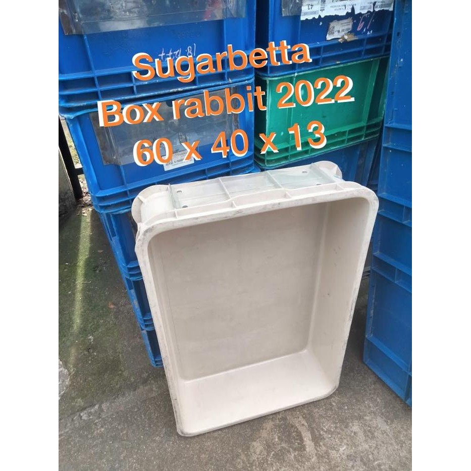 

BOX CONTAINER RABBIT/ KERANJANG INDUSTRI RAPAT RABBIT 6688 - BOX 2022