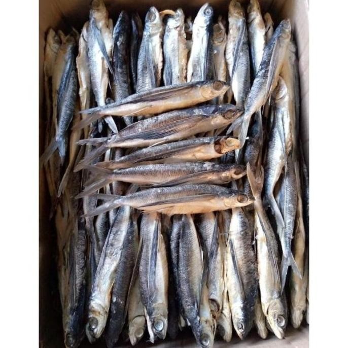 

ikan kering terbang dari Sulawesi barat
