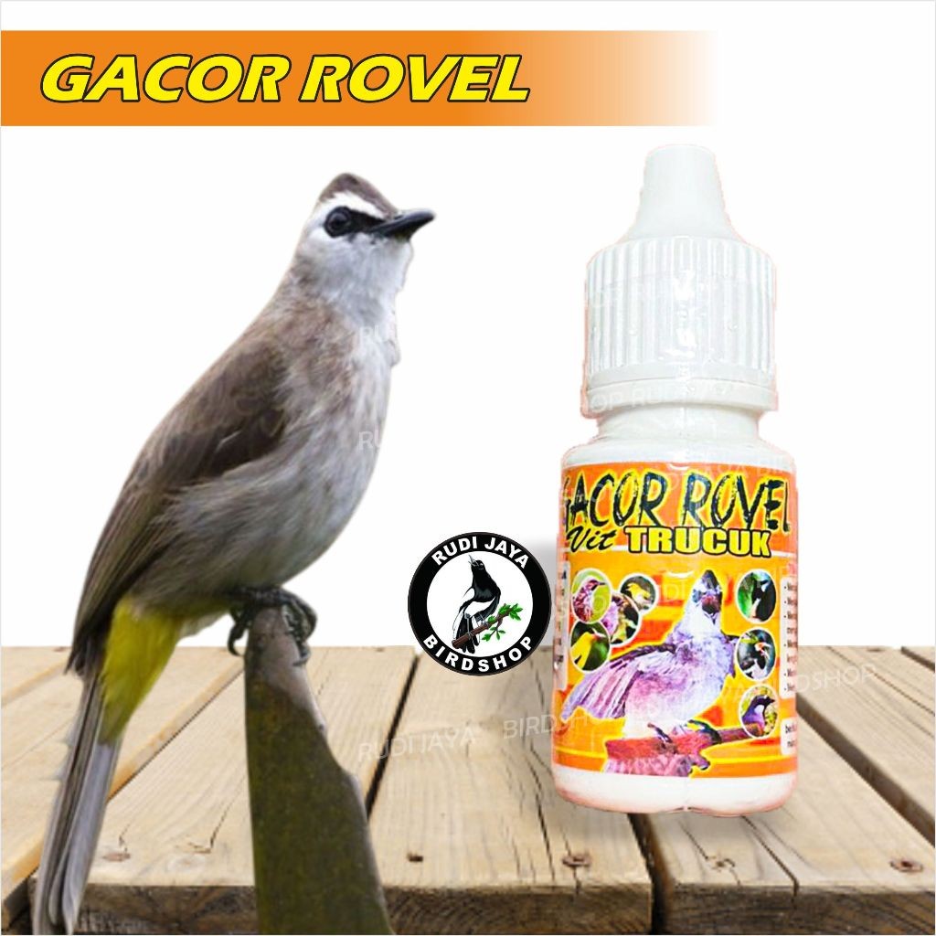 SEDIA GACOR ROPEL ROVEL VIT TRUCUK 1 BOTOL BMW VITAMIN PENGACOR INSTAN BURUNG TRUCUK TROCOK KUTILANG