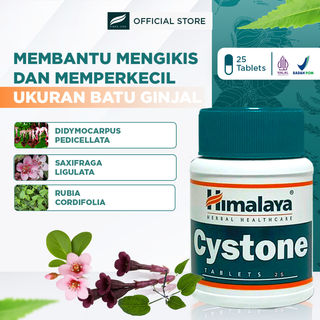 Himalaya Cystone isi 25 | Supplement Kesehatan Ginjal | Mencegah & Mengobati Batu Ginjal