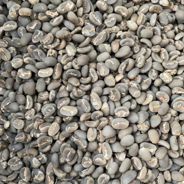 

Green bean arabika Lintong Semi Washed proses Grade specialty - 500 gram