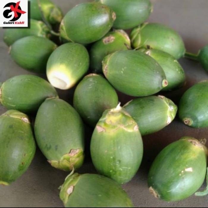 

Buah Jambe / Pinang Muda Berkualitas - Isi 10 Shop with