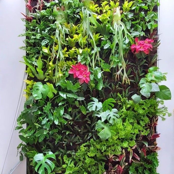 paket pembuatan vertical garden - vertical garden tanaman hidup