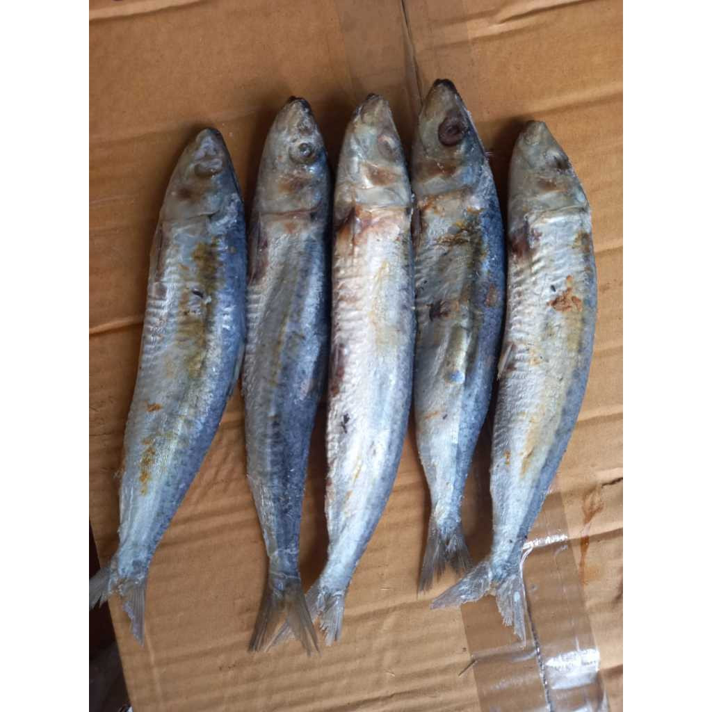 

ikan asin japuh belitung 500 Gram