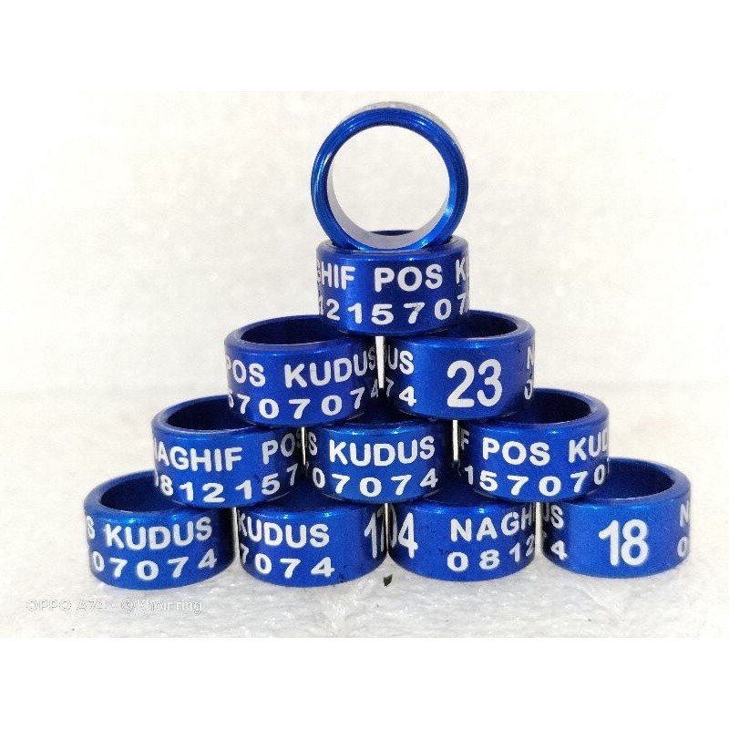 SPESIAL PRODUCK  RING BURUNG MERPATI DEWASA 9MM