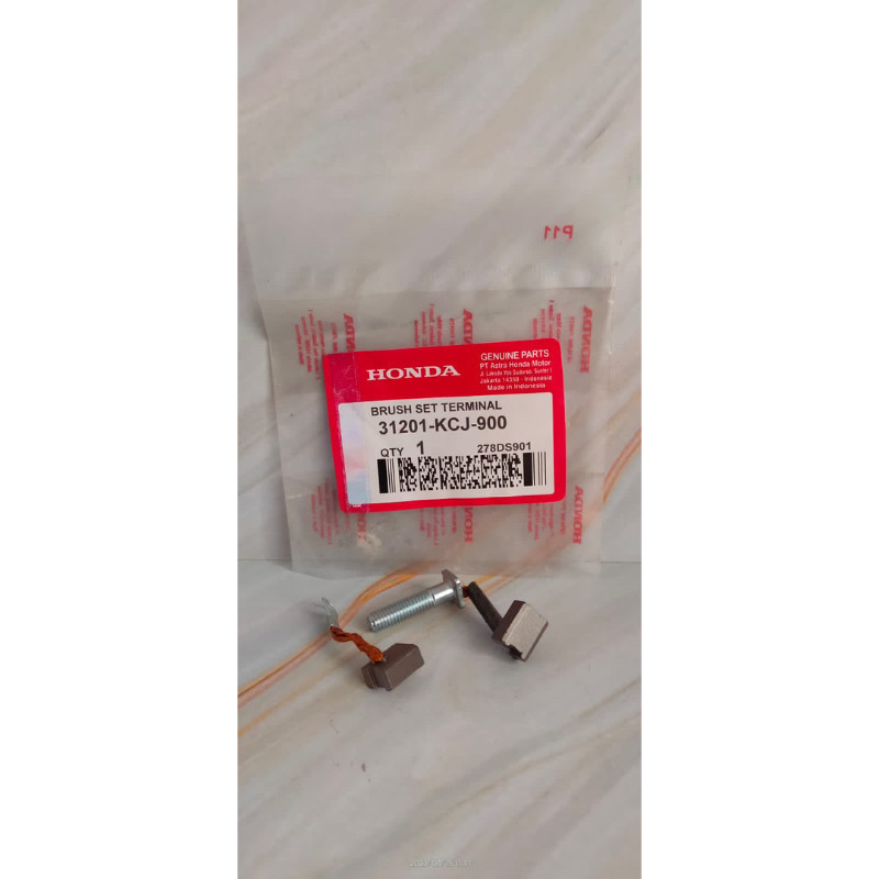 Arang Stater Tiger Cool Stater Tiger