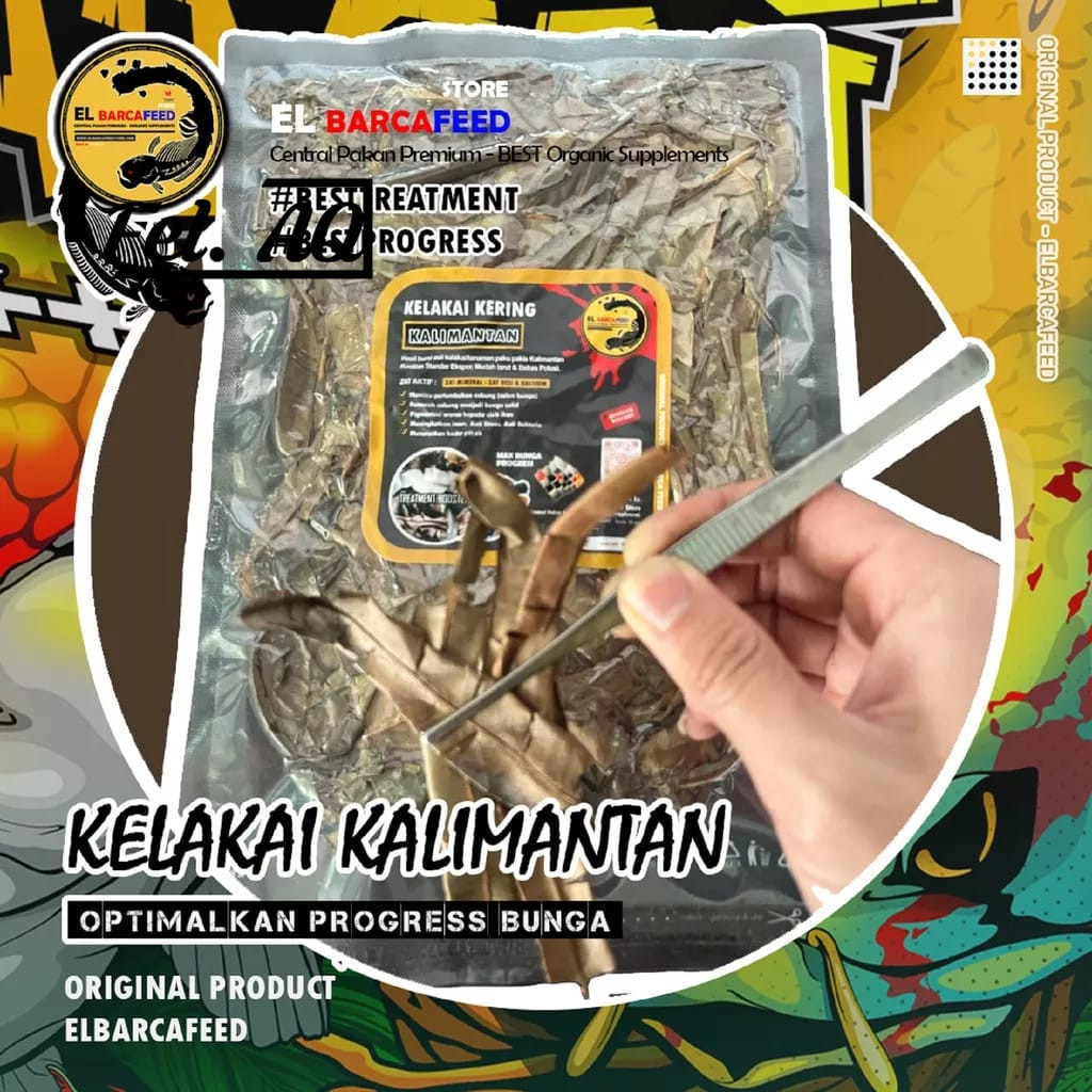 Daun Kelakai Kering 50g Asli Kalimantan El Barca Progress Ikan Channa