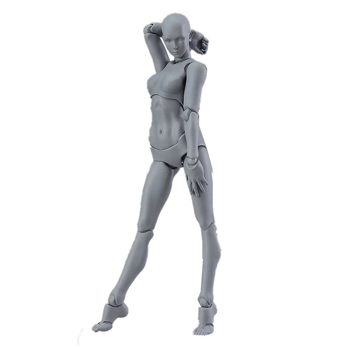 Figuart Body Kun / SHF Body Kun / Action Figure Model Body Chan DX Set Gray Color Male Female - Fema