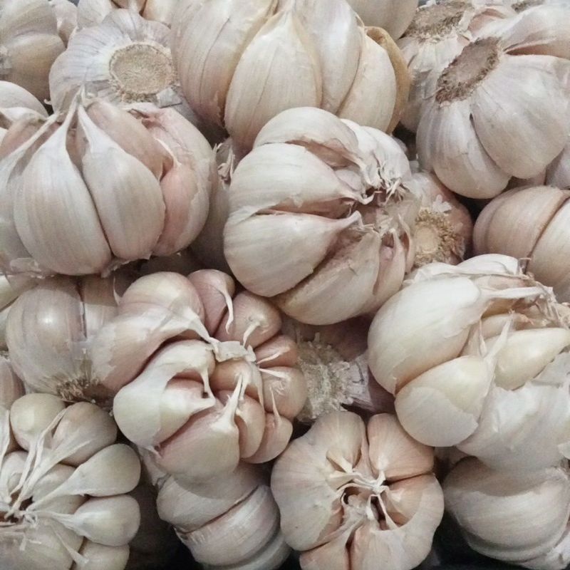 

Bawang Putih 1Kg