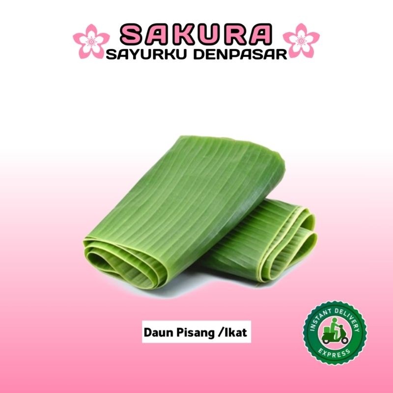 

New Daun Pisang /Ikat - SAKURAPremium