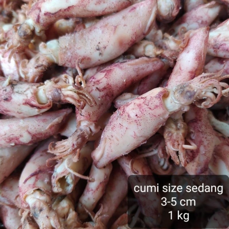 

New cumi asin size sedang 1 kgPremium