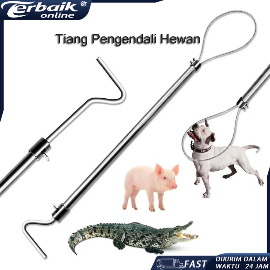 Dog Catcher & Animal Catcher Umum: Untuk Anjing, Kucing, Babi, Biawak – Alat Penangkap Binatang