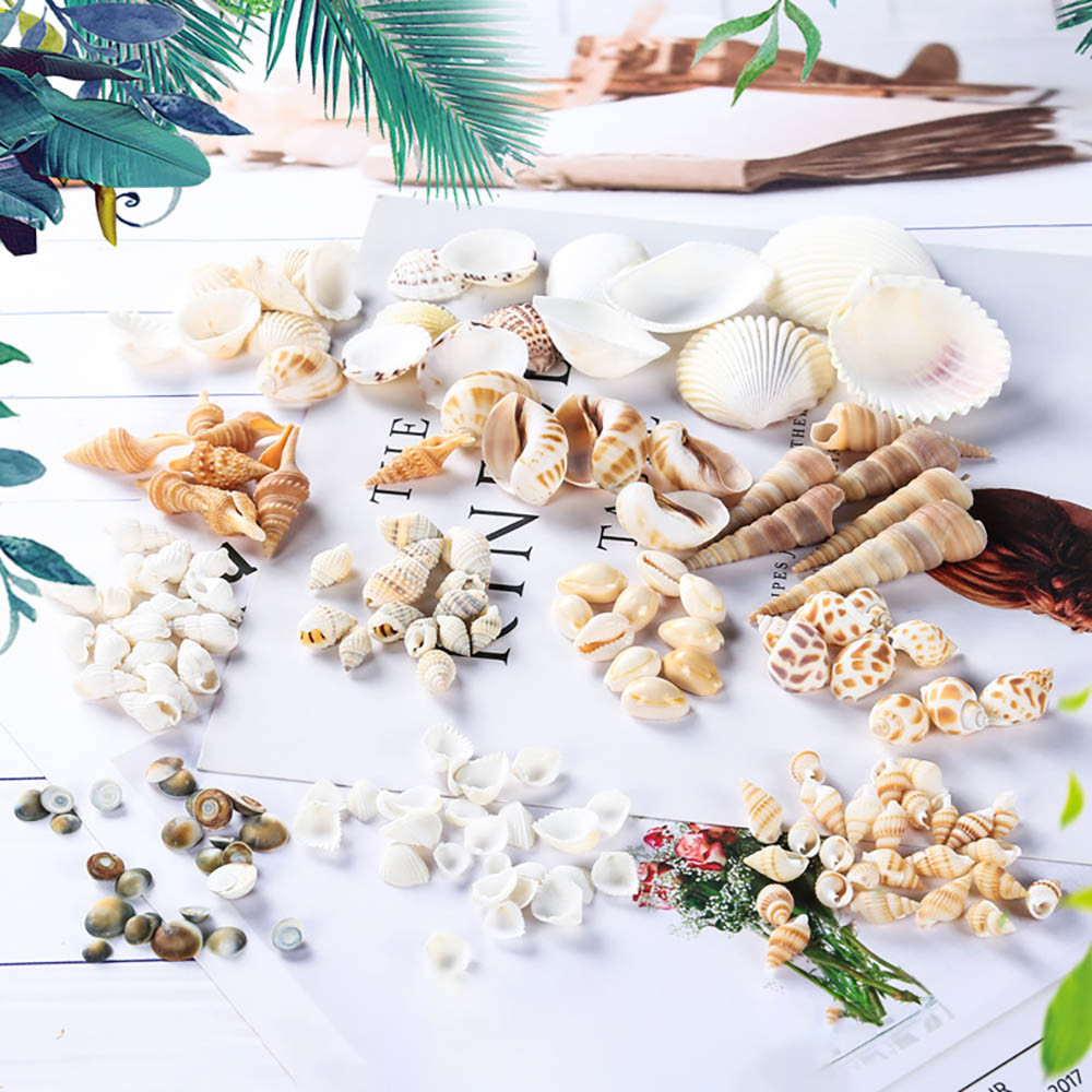 

1bag Ocean Shell Conch Crystal Epoxy Filler Jewelry Fillings Accessory DIY Charms Handmade River Snail Shell Stuff Resin Craft