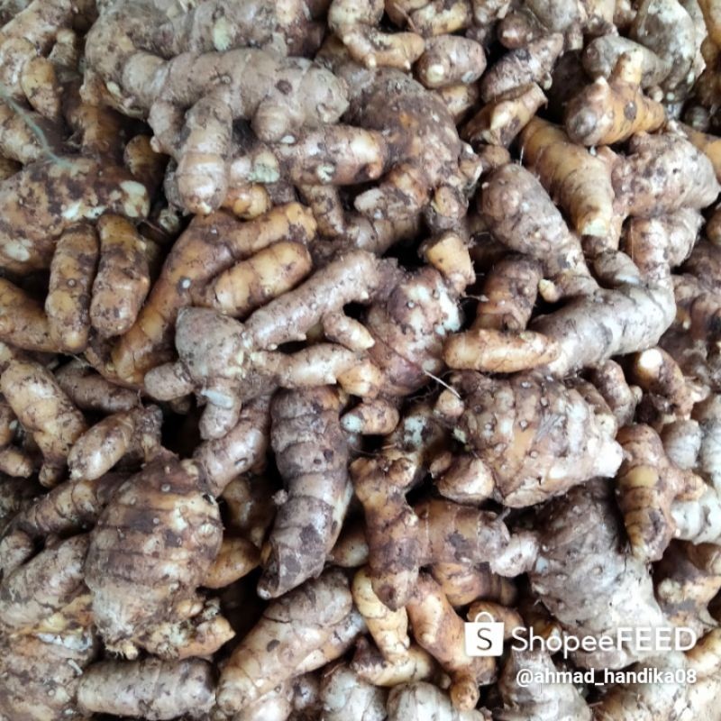 

#Promo temu putih kunyit putih,(1kg) segar bersih dan sehat Herbal COD