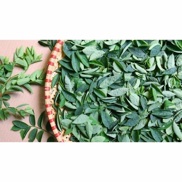 

Daun katuk segar murah Rp100/lembar Herbal COD