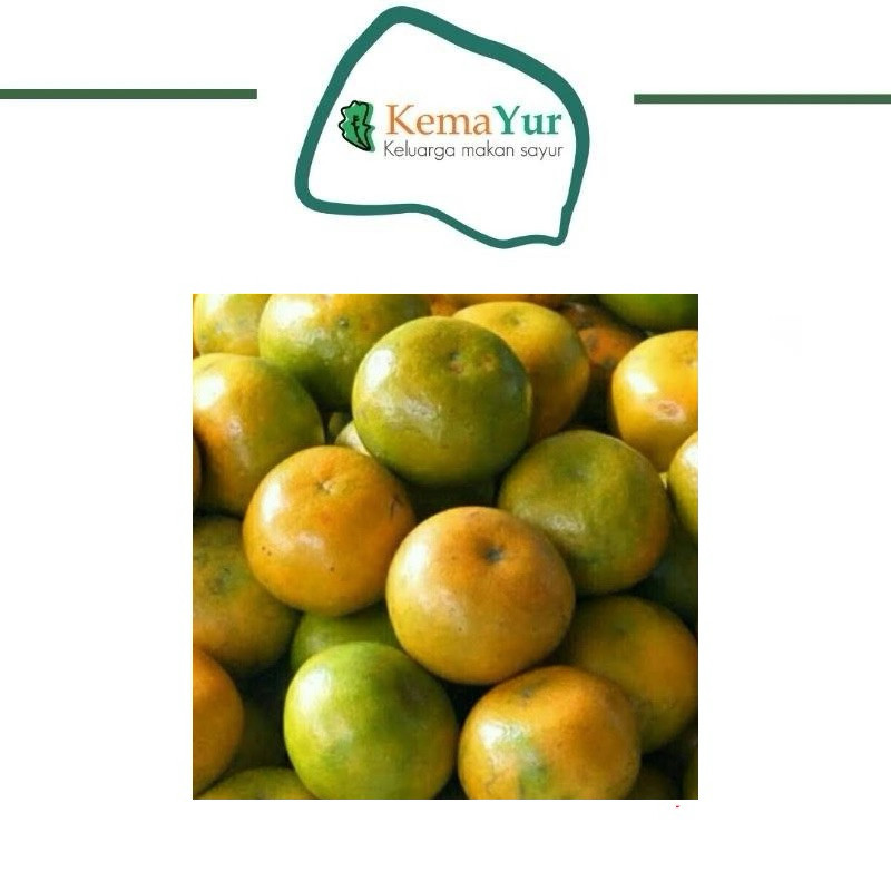 

JERUK SIEM JEMBER GROSIR 1KG