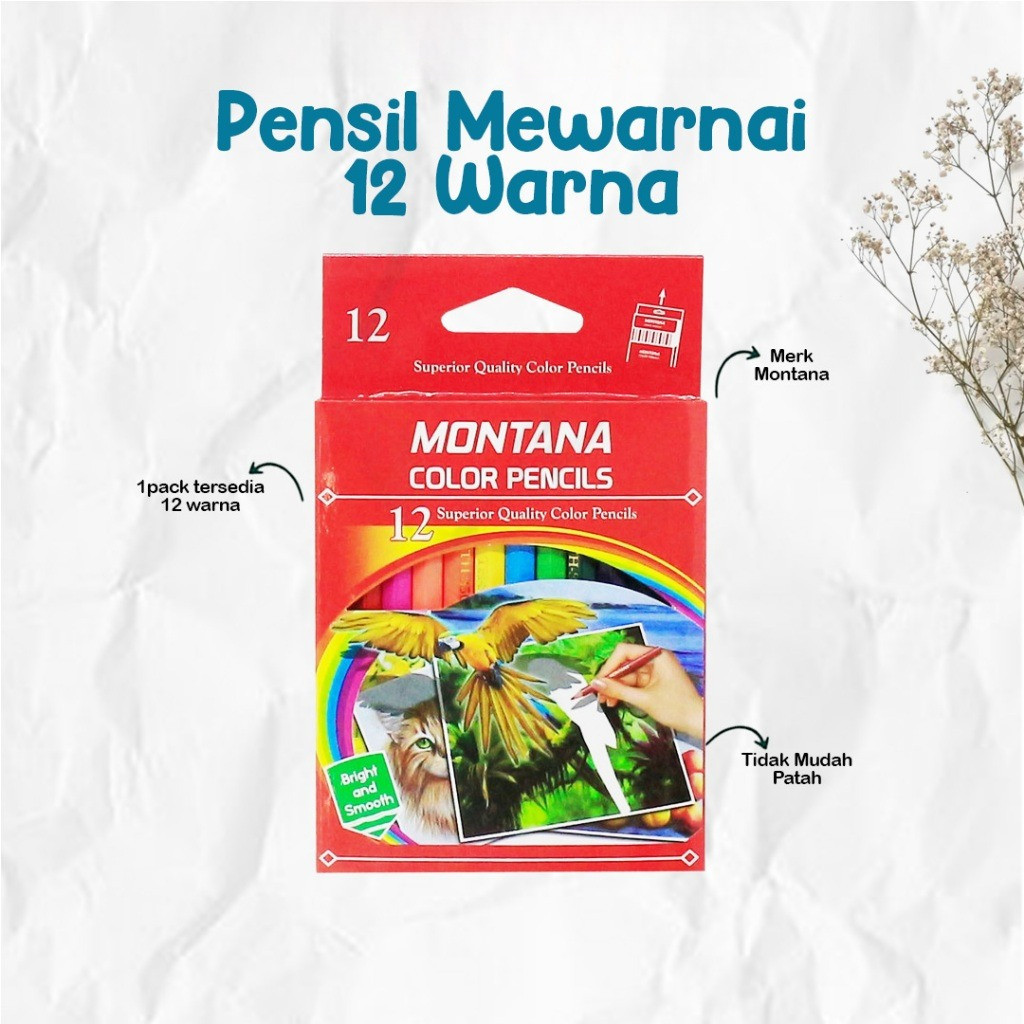 

[OGIFT] Pensil Mewarnai Pendek 12 Warna / Pensil Warna Anak PAUD TK SD / Pensil Warna Buku Gambar