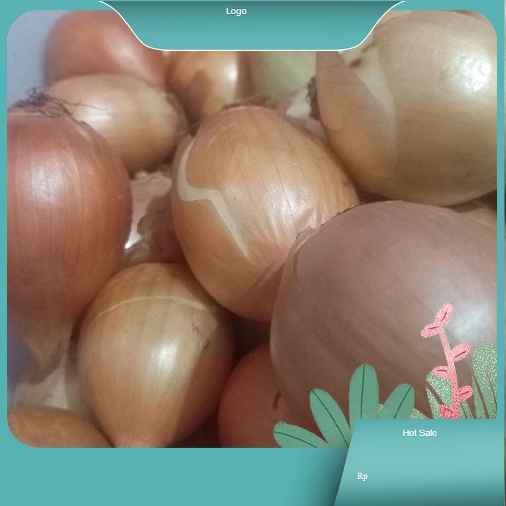 

bawang bombay kering segar fresh