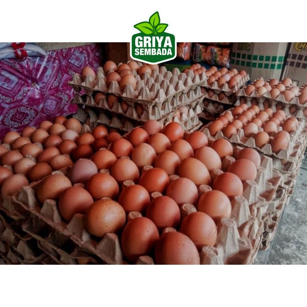 

Telur Ayam Negeri Grade A Isi 7 Kg Griya Sembada