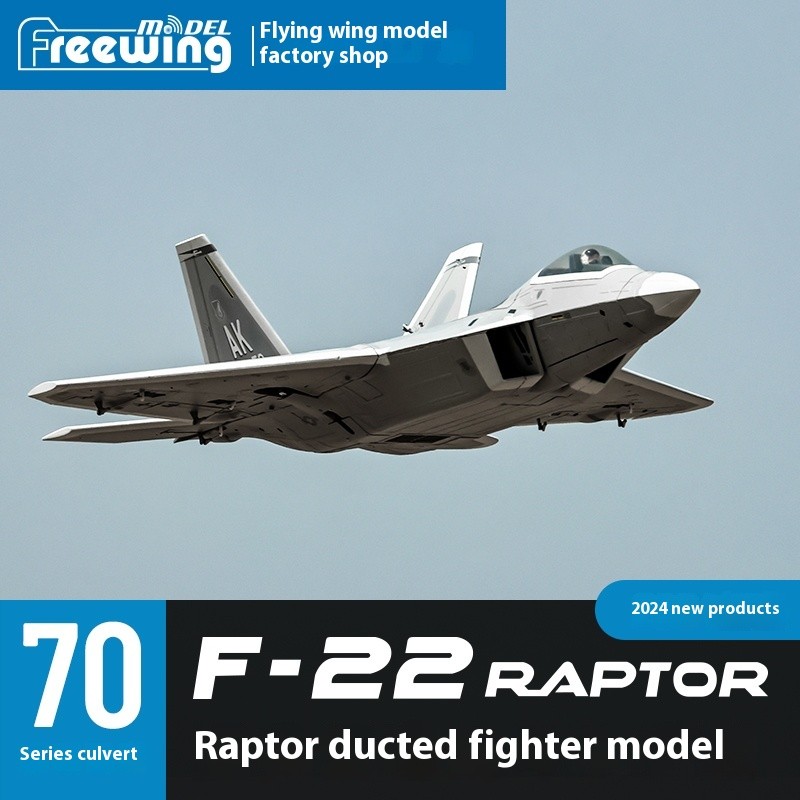 New Products In 2025 Freewing Flying Wing Model 80mm F-22 Raptor "Raptor" Ducted Model Airplane Toy 