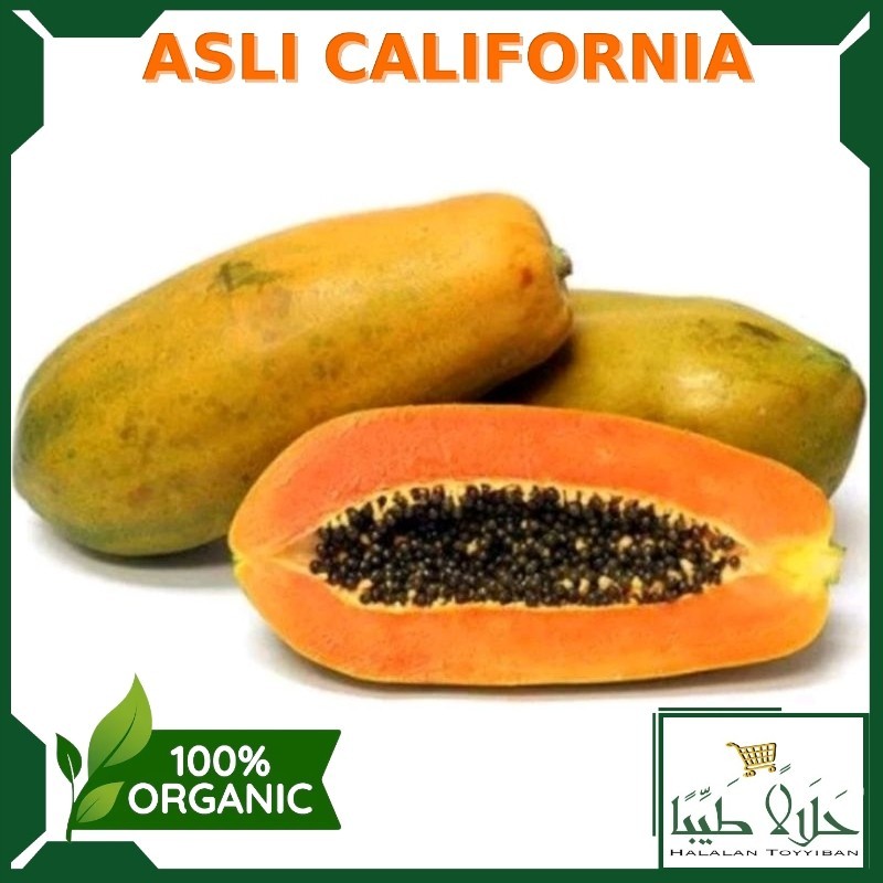 

BUAH PEPAYA CALIFORNIA ASLI / PEPAYA MANIS / SWEET PAPAYA / JAMIN SEGAR / 1 BUAH Per 1 Buah