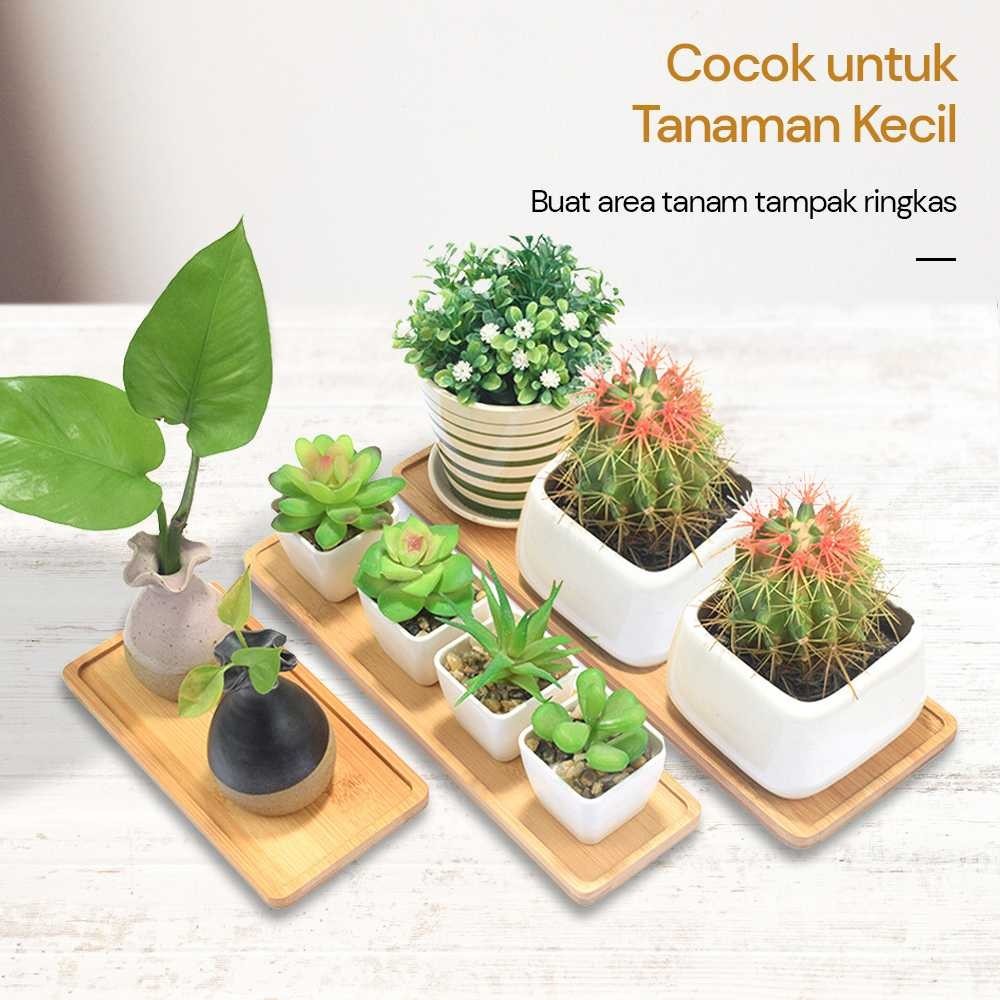Alas Tatakan Pot Tanaman Bambu Minimalis Persegi Panjang Bamboo Tray