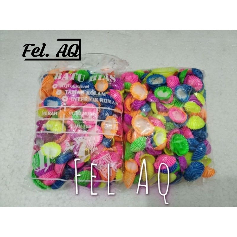 Kerang Hias Fosfor Per Pack Kerang Laut Hiasan Aquarium Aquascape