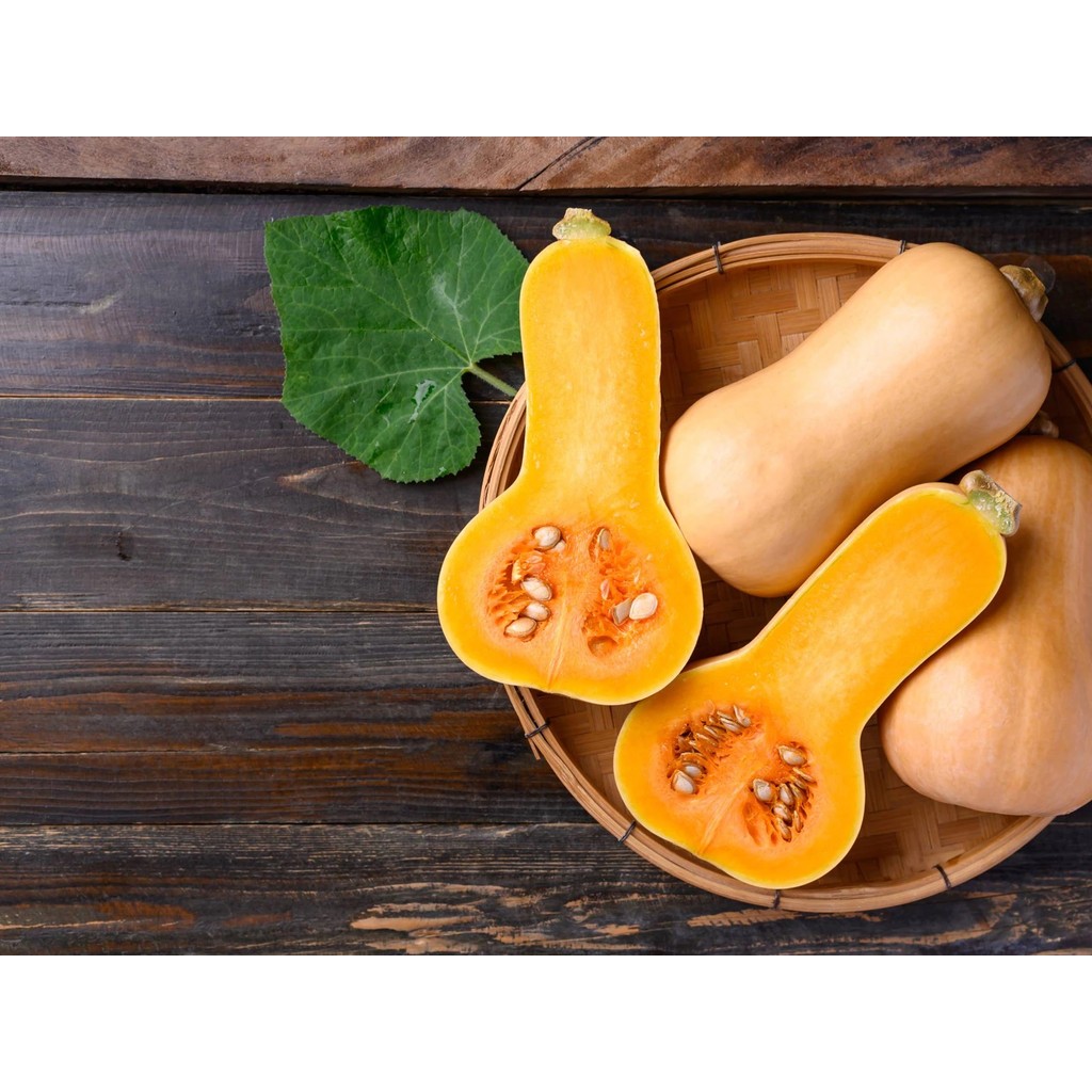 

Labu Madu Organik Local Bebas Pestisida Butternut Pumpkin Makanan Ibu Menyusui MPASI Bayi Kolak Manis