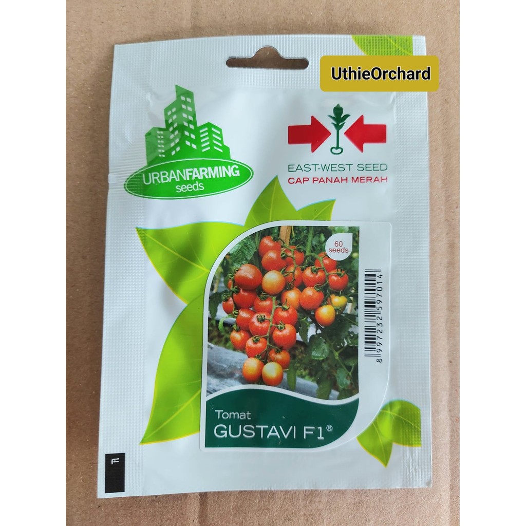 Benih Panah Merah – Tomat Gustavi F1