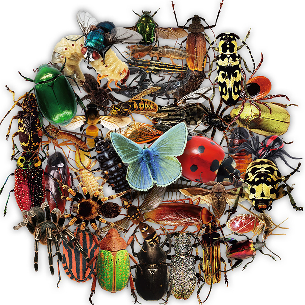 

50Pcs Transparent Realistic Insect Stickers Bug Stickers for Kids Teens Adults Scrapbook Stickers Nature Mini Bugs Moth Stickers