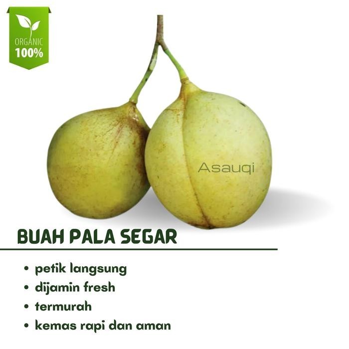 

promo Buah Pala Segar 1kg - Petik Langsung Dijamin fresh - muda, 500gram ready
