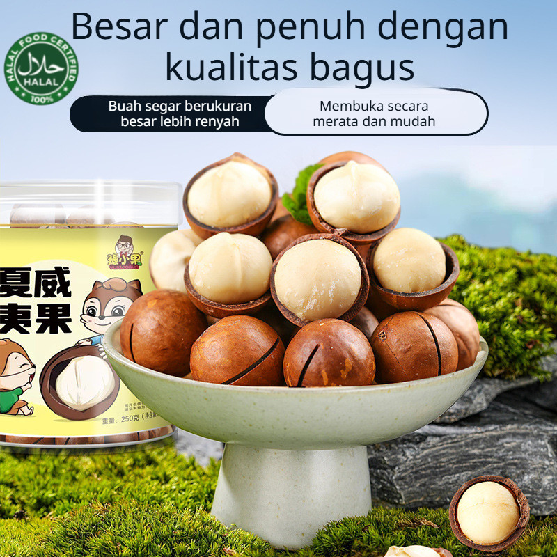 

✨COD/Grosir✨Camilan Kacang Macadamia | Kacang Renyah Dengan Rasa Susu | Kacang Macadamia, Camilan Biji-Bijian Besar | Macadamia Nuts Kacang Milky Flavor Camilan Rasa Susu Size Besar