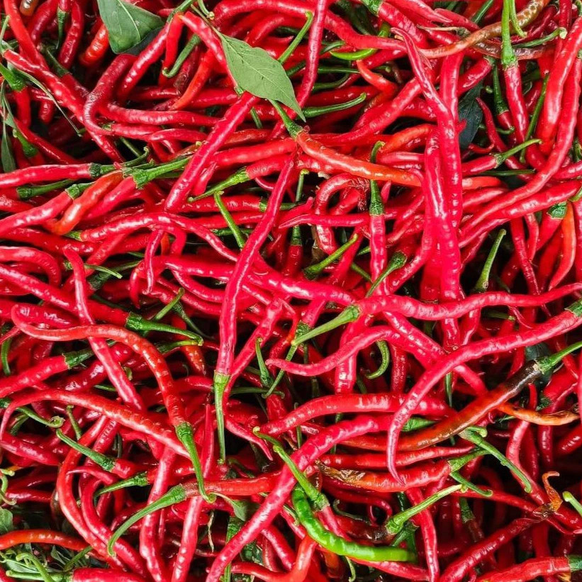 

Paket Cabai Merah Keriting Segar 1 Kg