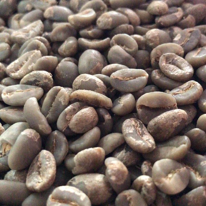

greenbean biji kopi arabika Papua yahukimo