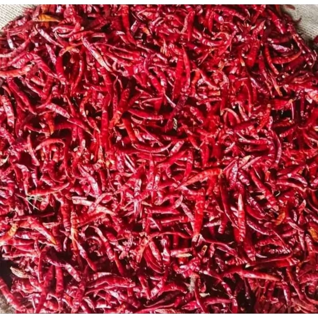 

Paket cabe kering teja grad a super pedas macam-macam variasi