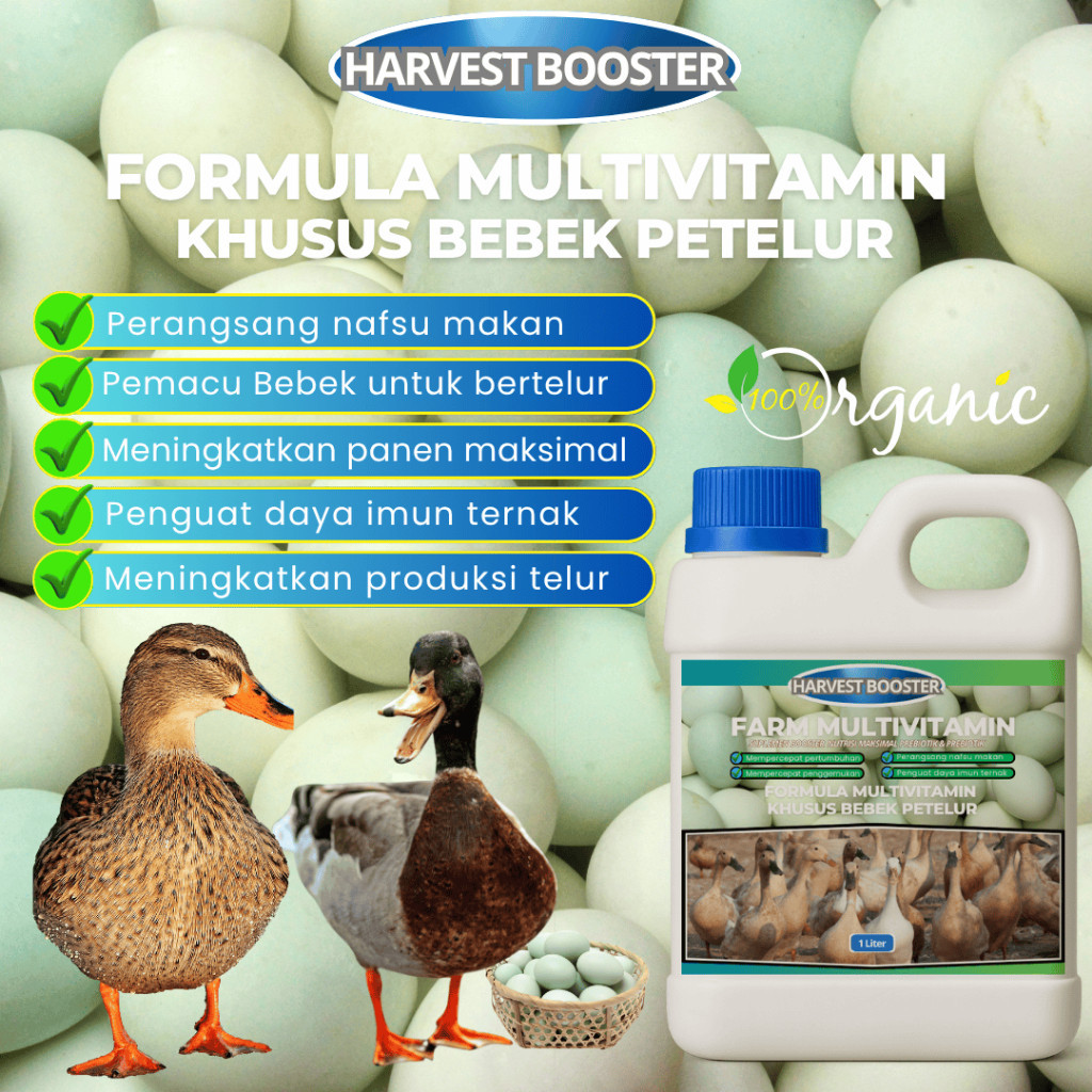 vitamin Bebek Petelur / Vitamin pemacu bebek bertelur lebih cepat / vitamin Bebek cepat bertelur /pr